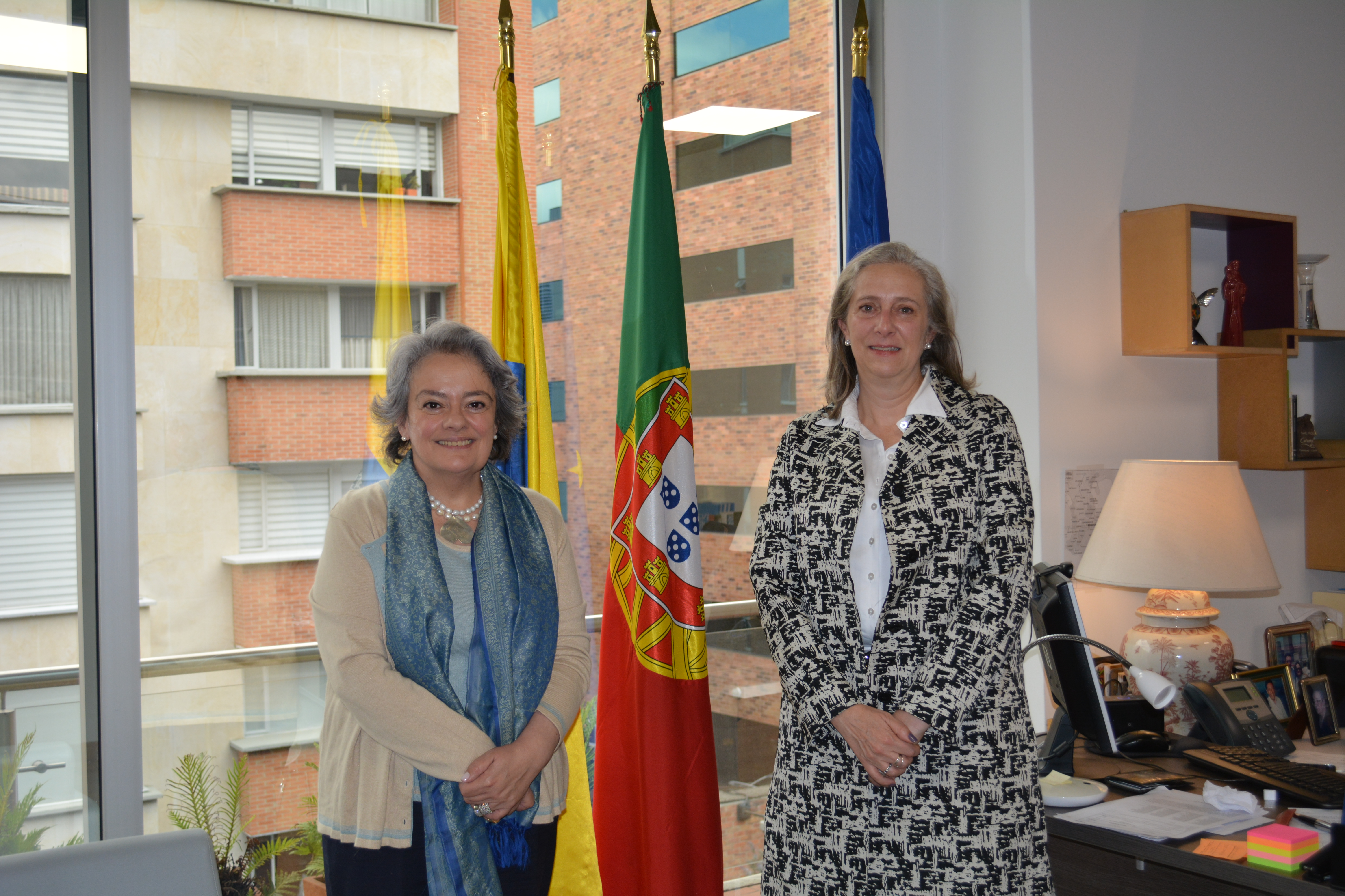 Visitas ante la Comunidad Internacional
