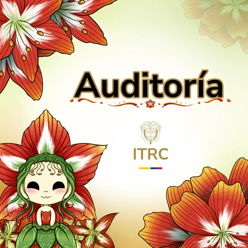 Ilustración: Auditoría