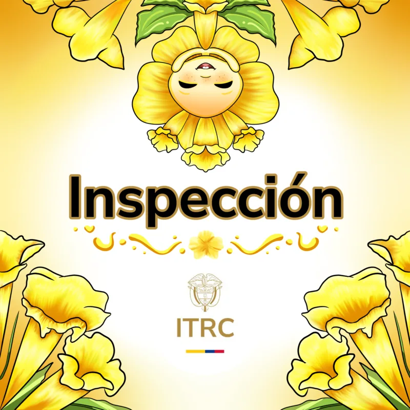 Ilustración: Inspección